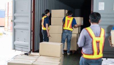 Domestic Shifting from Satna